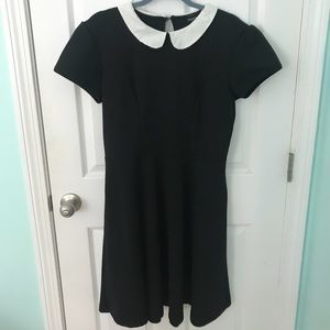 Torrid Black Skater Dress with White Collar